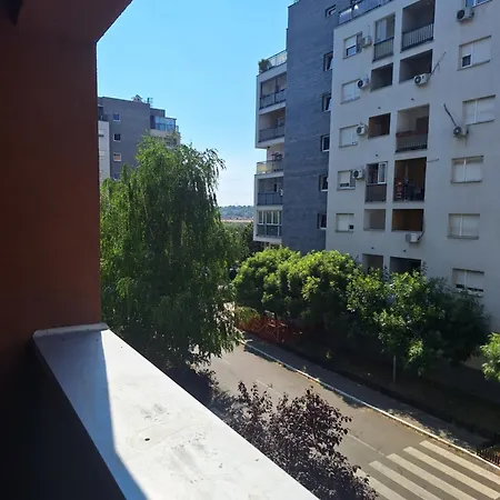 Amar6 * 베오그라드